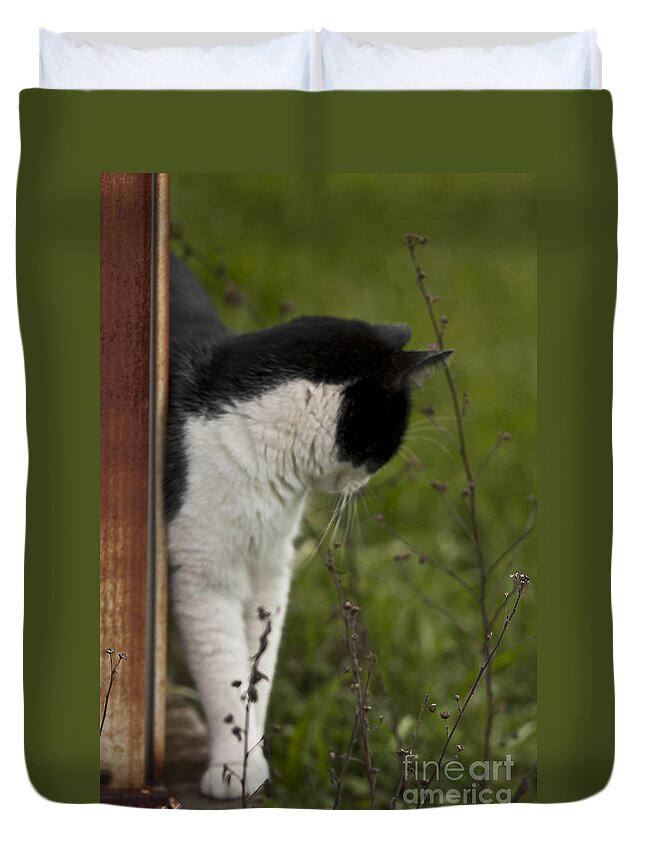 Cats Duvet Cover featuring the photograph The Hunt by Kim Henderson