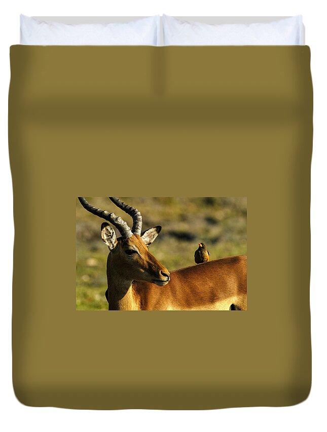 Action Duvet Cover featuring the photograph The look by Alistair Lyne