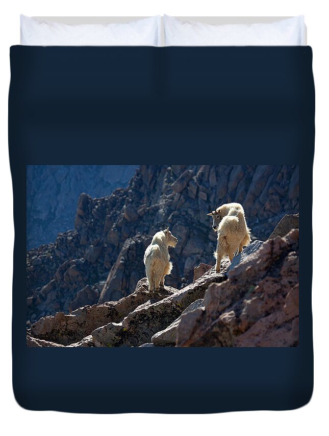 Mountain Goats; Posing; Group Photo; Baby Goat; Nature; Colorado; Crowd; Nature; Duvet Cover featuring the photograph The Mountaineers by Jim Garrison