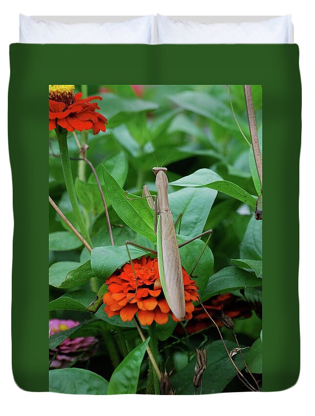 Insects Duvet Cover featuring the photograph The Patience of a Mantis by Thomas Woolworth