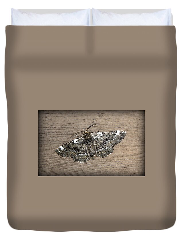 Moth Duvet Cover featuring the photograph The Peppered Moth by Kim Galluzzo
