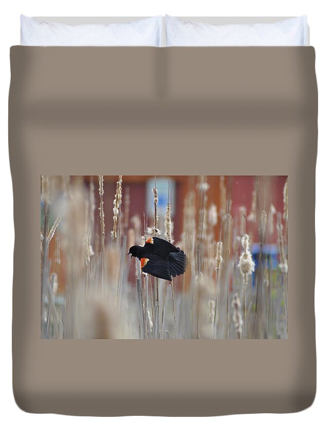 The Redwinged Blackbird Duvet Cover featuring the photograph The Redwinged Blackbird by Bill Cannon