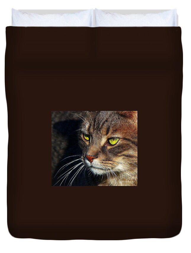 Cats Duvet Cover featuring the photograph The Watcher by Davandra Cribbie