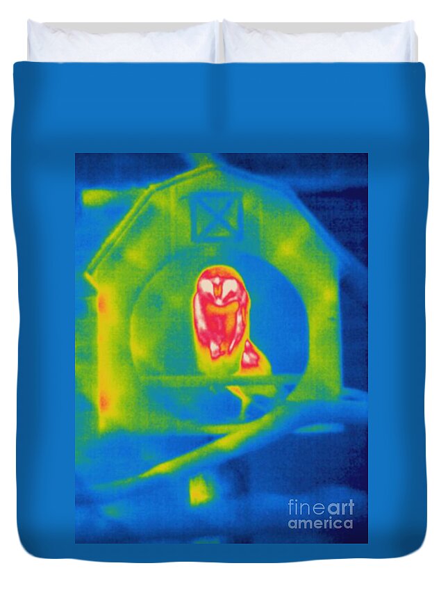 Thermogram Duvet Cover featuring the photograph Thermogram Of An Owl by Ted Kinsman