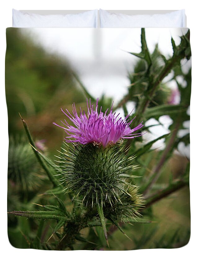 Thistle Duvet Cover featuring the photograph Thistle Bloom by Lorraine Devon Wilke