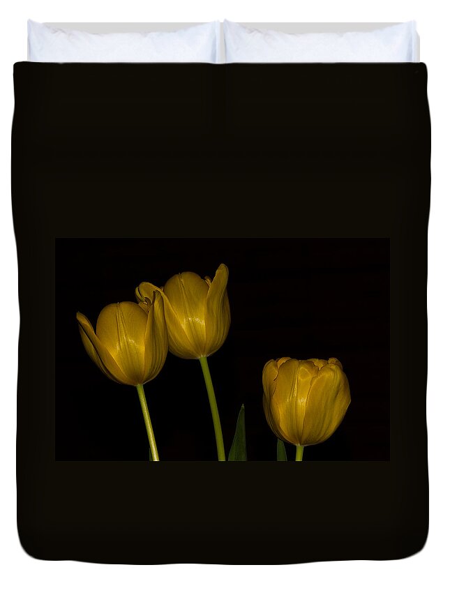 Flowers Duvet Cover featuring the photograph Three Tulips by Ed Gleichman