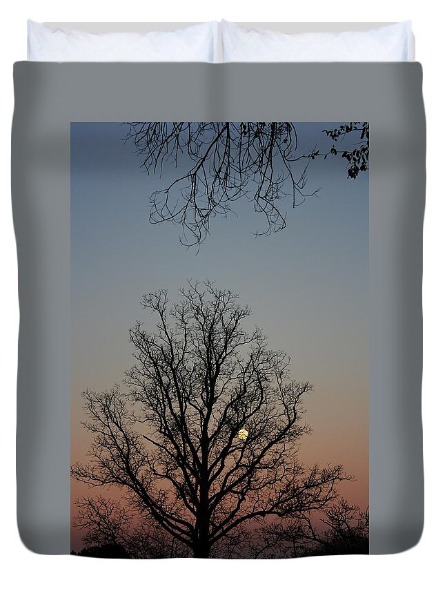 Sunset Duvet Cover featuring the photograph Through the Boughs portrait by Dan Stone