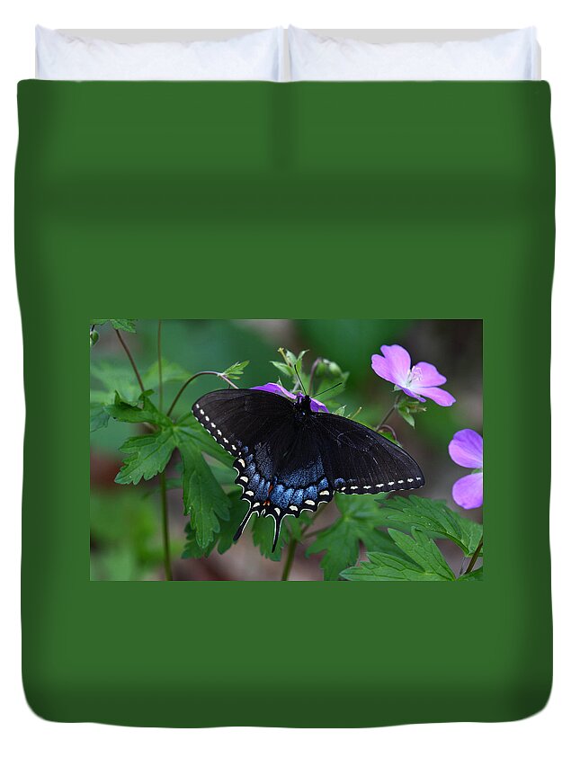 Butterfly Duvet Cover featuring the photograph Tiger Swallowtail Female Dark Form On Wild Geranium by Daniel Reed