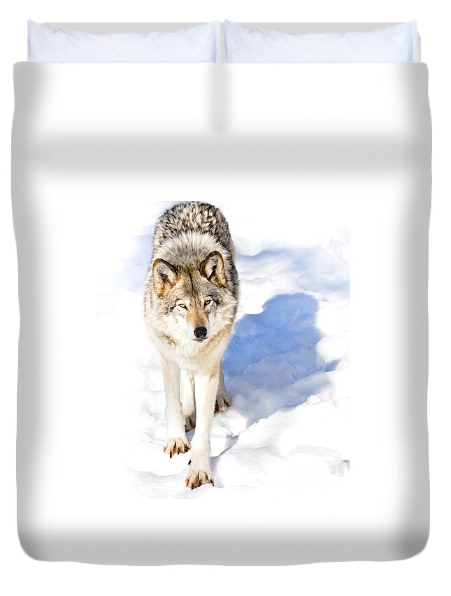 Timber Wolf Duvet Cover featuring the photograph TimberWolf by Cheryl Baxter