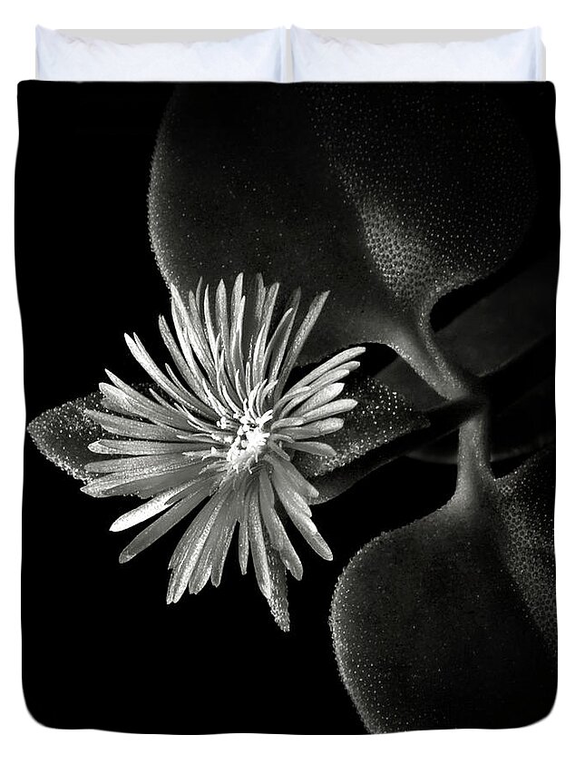 Flower Duvet Cover featuring the photograph Tiny Ice Plant in Black and White by Endre Balogh