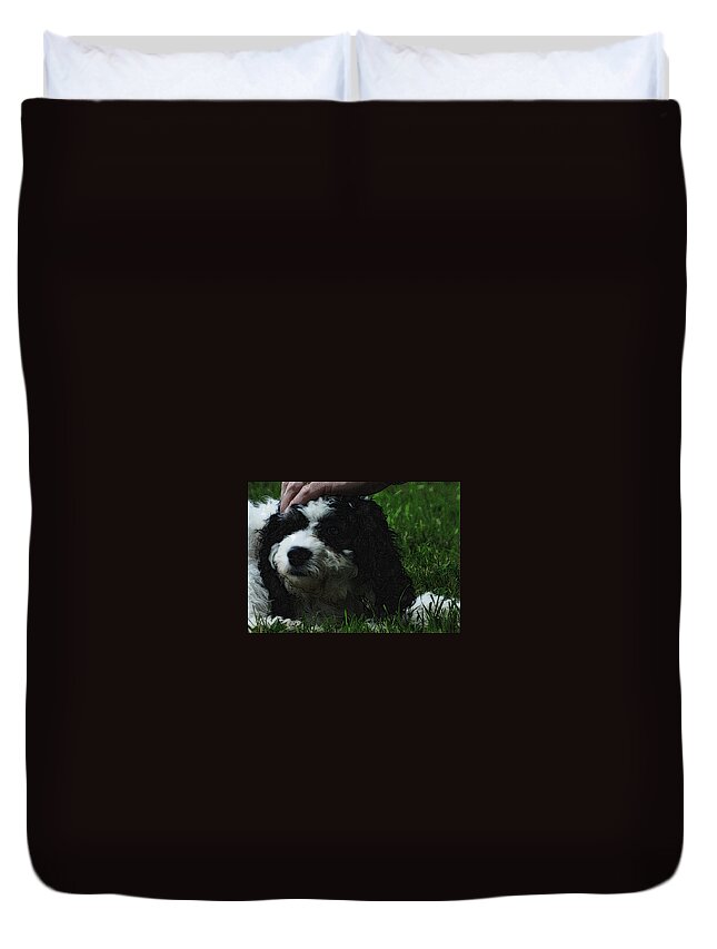 Dog Duvet Cover featuring the photograph TLC by Lydia Holly