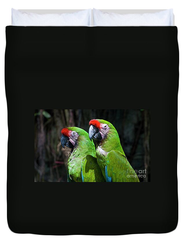 Bird Duvet Cover featuring the photograph Together by Diego Re
