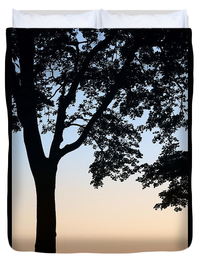 Tree And Bench Silhouette Duvet Cover For Sale By Darwin Wiggett