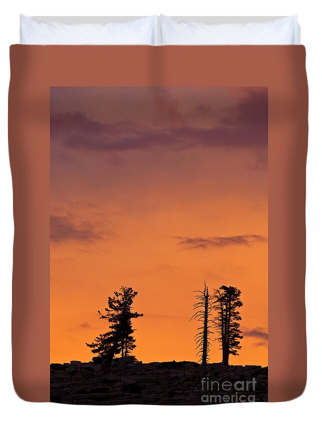 Olmsted Point Duvet Cover featuring the photograph Trees at sunset by Olivier Steiner