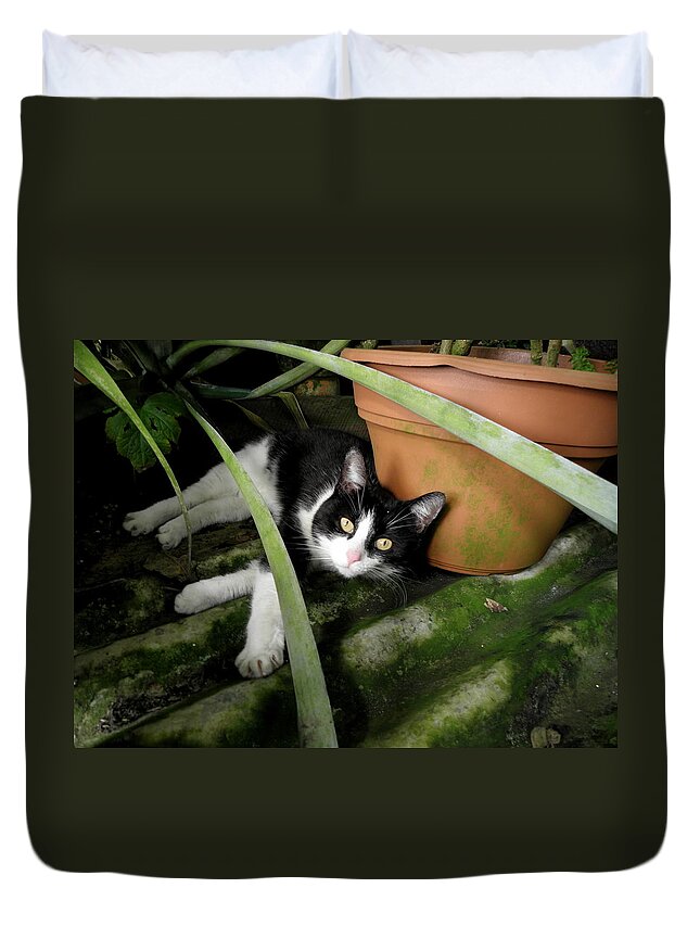 Kitty Duvet Cover featuring the photograph Tropical Kitty by Kim Galluzzo