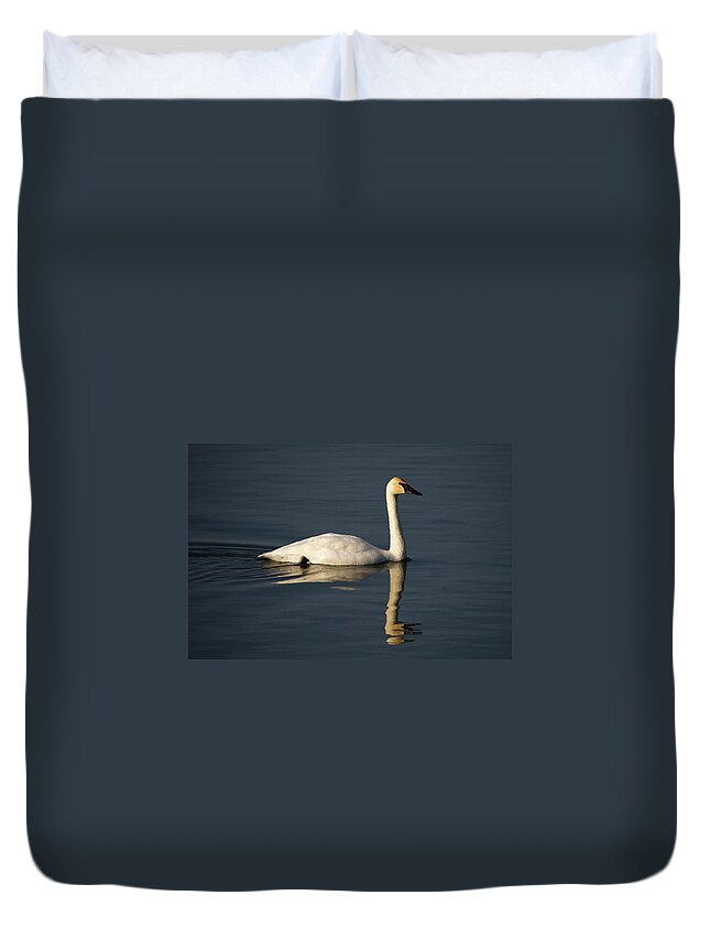 Swan Duvet Cover featuring the photograph Trumpeter Swan by Steve Stuller