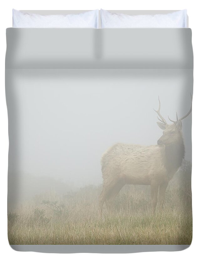 00499829 Duvet Cover featuring the photograph Tule Elk Bull In Fog Point Reyes by Sebastian Kennerknecht
