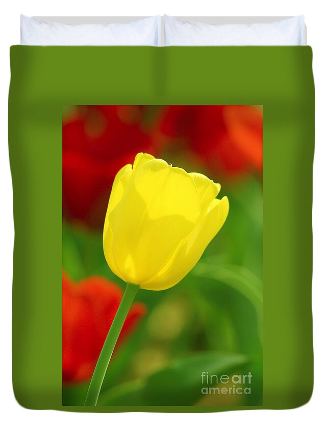 Tulip Duvet Cover featuring the photograph Tulipan Amarillo by Francisco Pulido