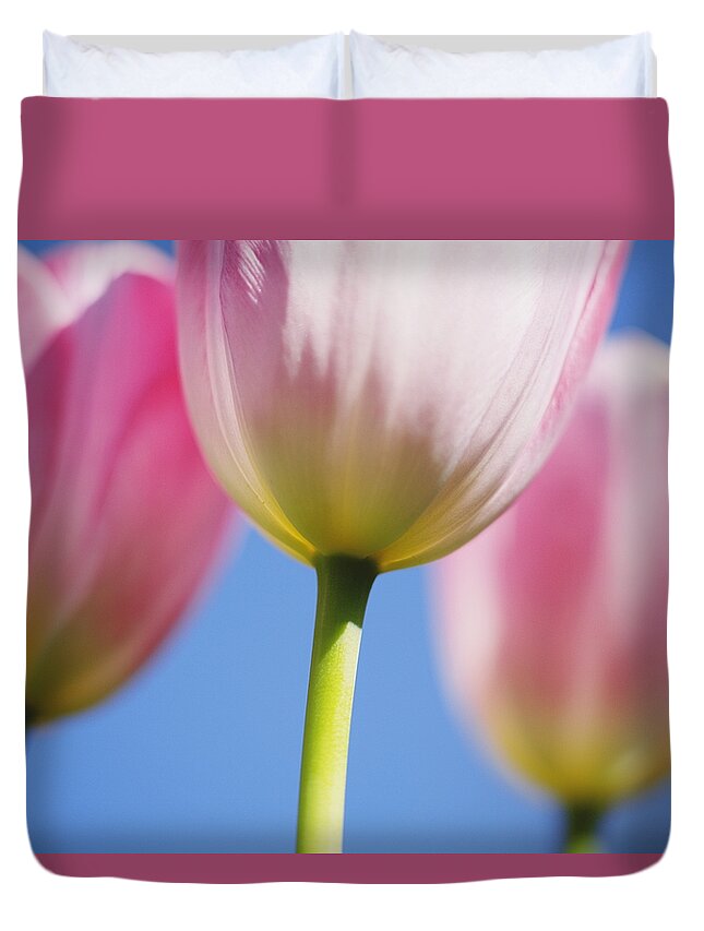 Tulipa Duvet Cover featuring the photograph Tulips by Craig Tuttle