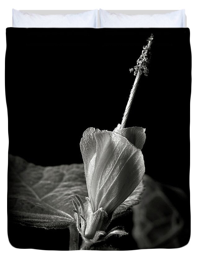 Flower Duvet Cover featuring the photograph Turk's Cap in Black and White by Endre Balogh