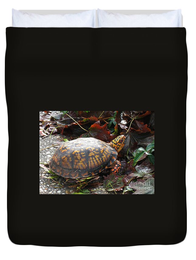Box Turtle Duvet Cover featuring the photograph Turtle in the Gardens by Nancy Patterson