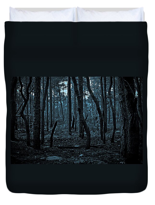 Forest Duvet Cover featuring the photograph Twilight in the Smouldering Forest by DigiArt Diaries by Vicky B Fuller