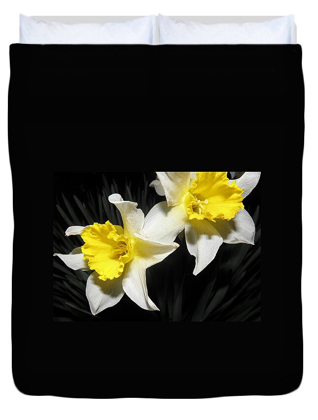 Daffodil Duvet Cover featuring the photograph Twinnies by Kim Galluzzo