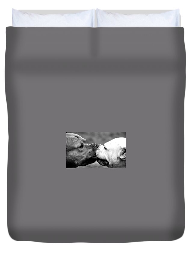 Dog Duvet Cover featuring the photograph Two dogs kissing by Sumit Mehndiratta