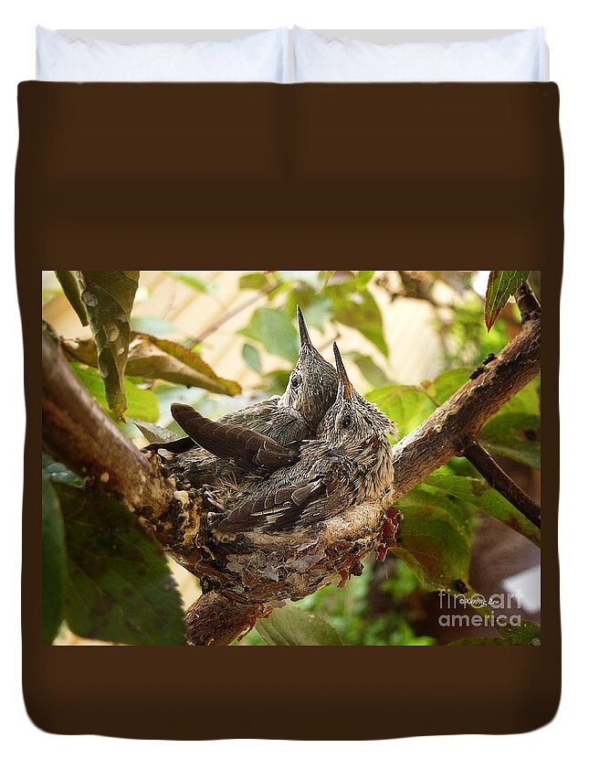 The Hummingbird Duvet Cover featuring the photograph Two Hummingbird Babies in a Nest 4 by Xueling Zou