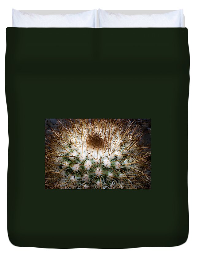 Cactus Duvet Cover featuring the photograph Untitled 3 by Lee Santa