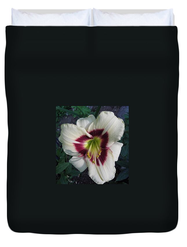 Lily Duvet Cover featuring the photograph Velvety Lily By Day by Kim Galluzzo