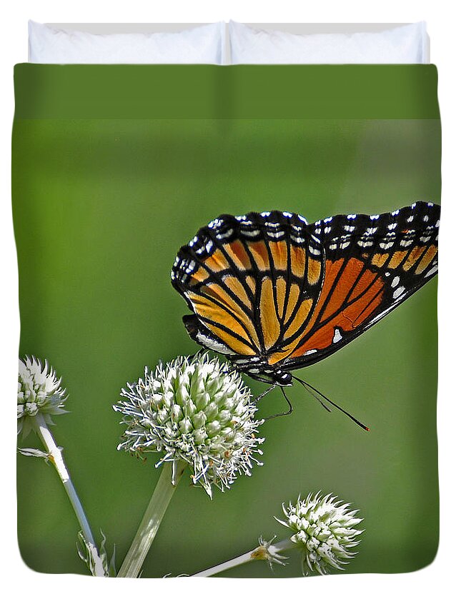 Viceroy Duvet Cover featuring the photograph Viceroy by Rodney Campbell
