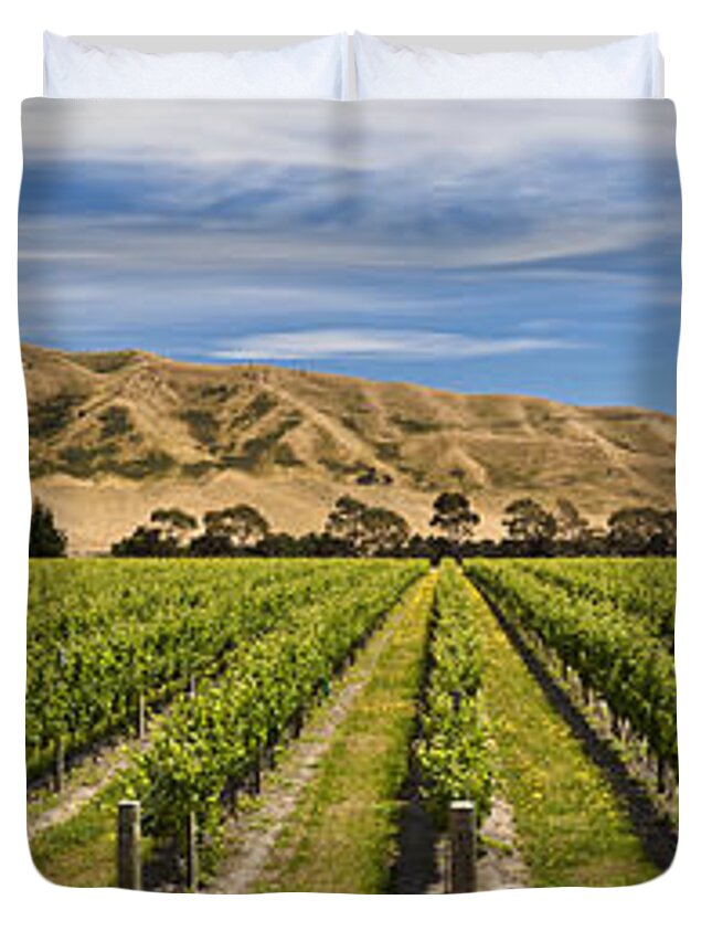 00439957 Duvet Cover featuring the photograph Vineyard In Lower Awatere Valley New by Colin Monteath
