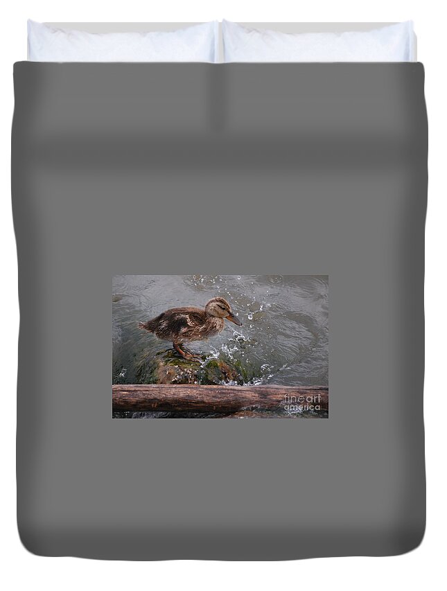 Duckling Duvet Cover featuring the photograph Wading by Grace Grogan