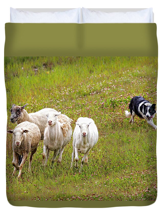 Border Duvet Cover featuring the photograph Wait... not that way by Fred J Lord