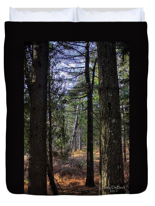 Hdr Duvet Cover featuring the photograph Walk In The Forest by Greg DeBeck