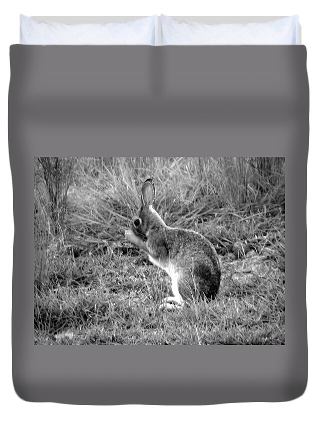 Bunny Duvet Cover featuring the photograph Wash Time by Kim Galluzzo