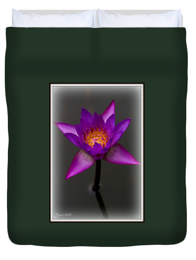 Water Duvet Cover featuring the photograph Water Lily by Farol Tomson