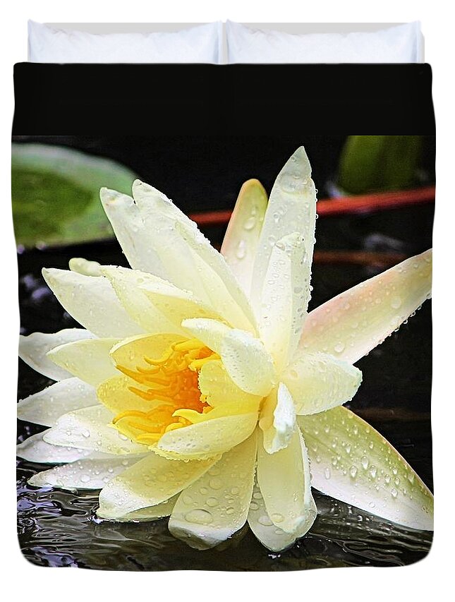 Water Lily Duvet Cover featuring the photograph Water Lily in White by Elizabeth Budd