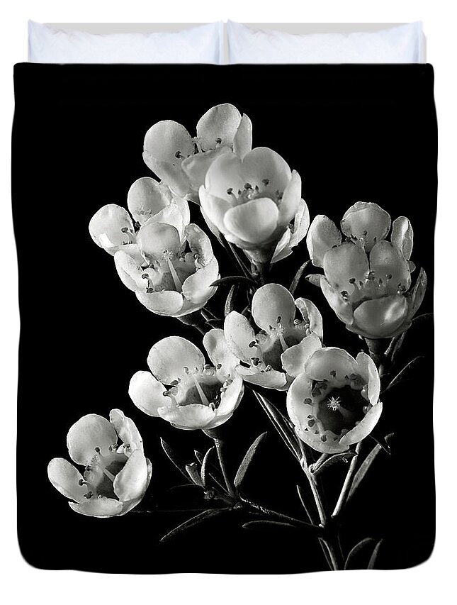 Wax Flowers In Black And White Duvet Cover For Sale By Endre Balogh