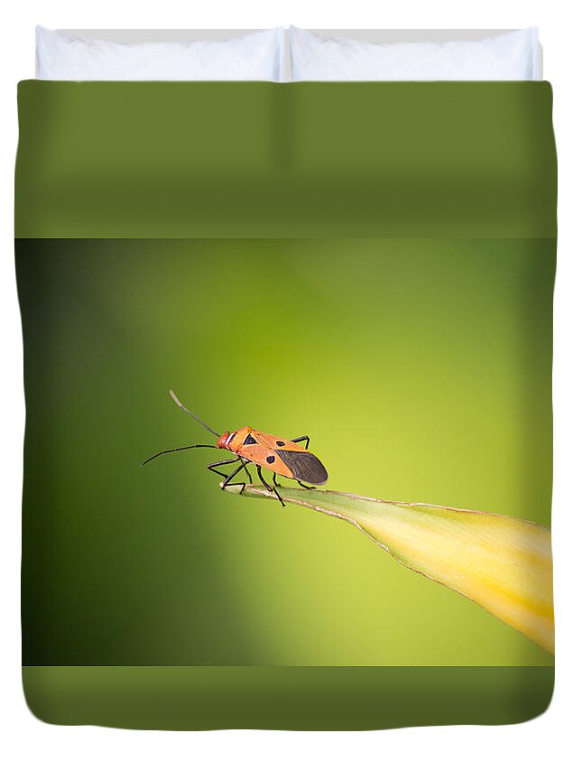 Beyond Duvet Cover featuring the photograph What lies beyond by SAURAVphoto Online Store