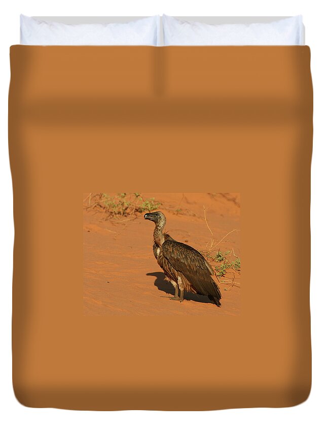 Vulture Duvet Cover featuring the photograph White-backed Vulture by Bruce J Robinson