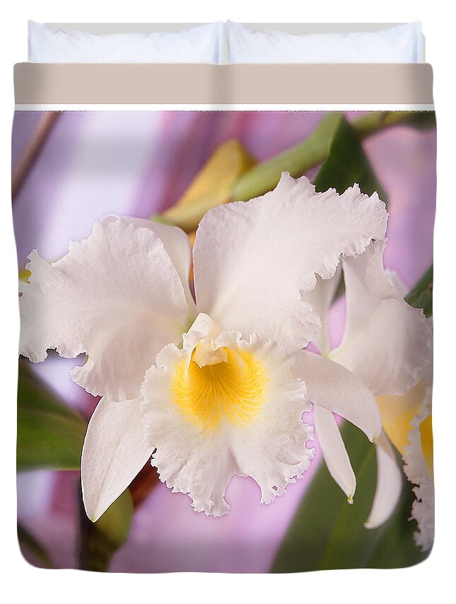 White Flower Duvet Cover featuring the photograph White Orchid by Mike McGlothlen