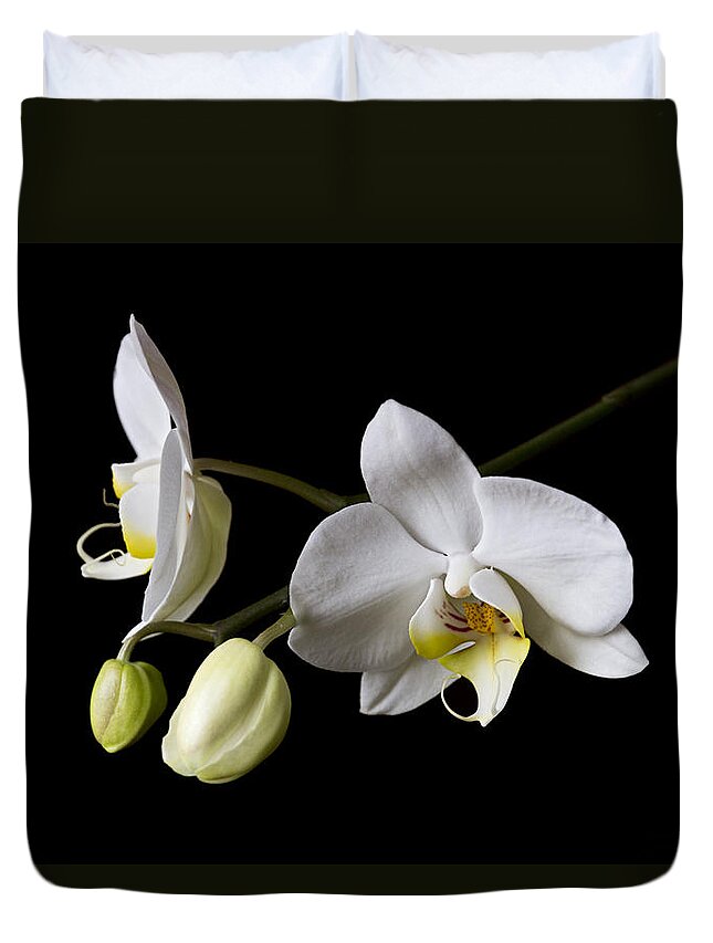 Orchid Duvet Cover featuring the photograph White orchid by Raffaella Lunelli