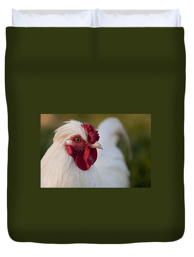 Bird Duvet Cover featuring the photograph White Rooster by Michelle Wrighton