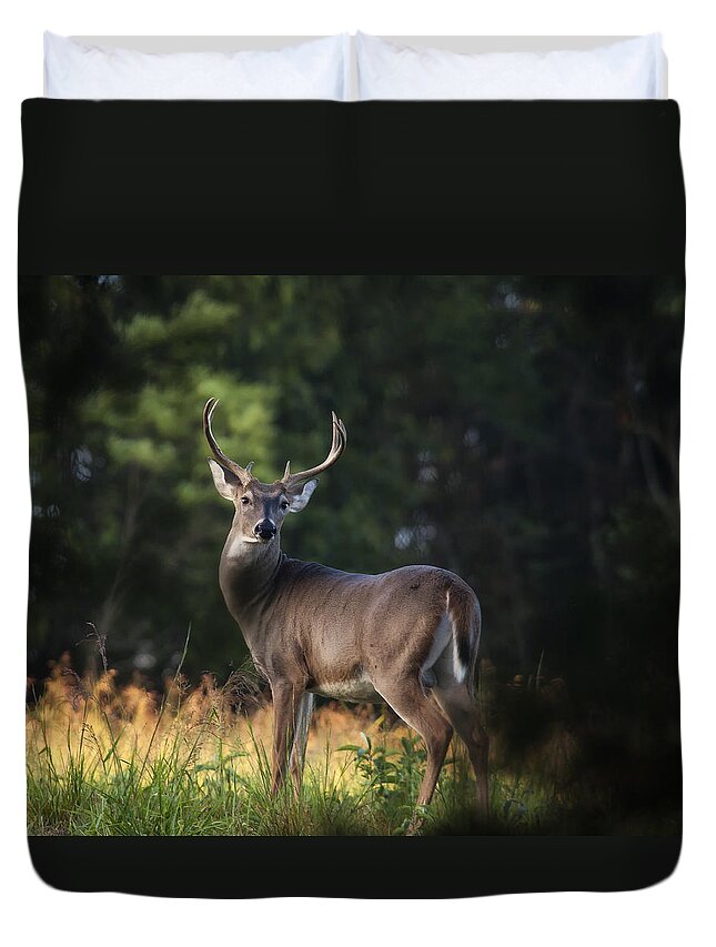 Whitetail Deer Duvet Cover featuring the photograph Whitetail Buck in Ponca Wilderness by Michael Dougherty