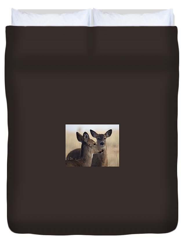 Deer Duvet Cover featuring the photograph Whitetail Deer by Ernest Echols