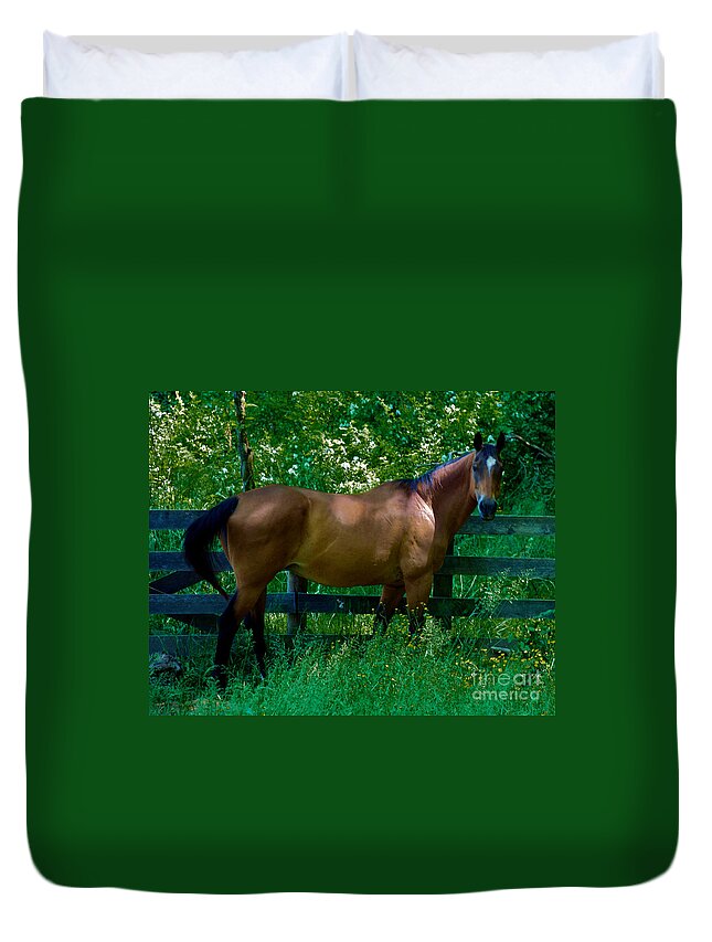Horse Duvet Cover featuring the photograph Who you looking at by Mark Dodd
