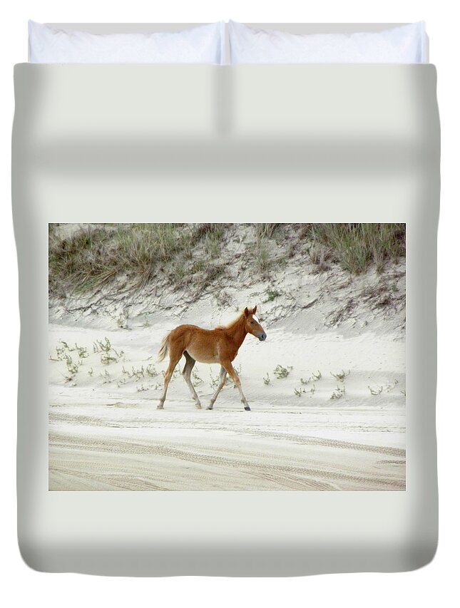 Foal Duvet Cover featuring the photograph Wild Spanish Mustang Foal of the Outer Banks of North Carolina by Kim Galluzzo Wozniak