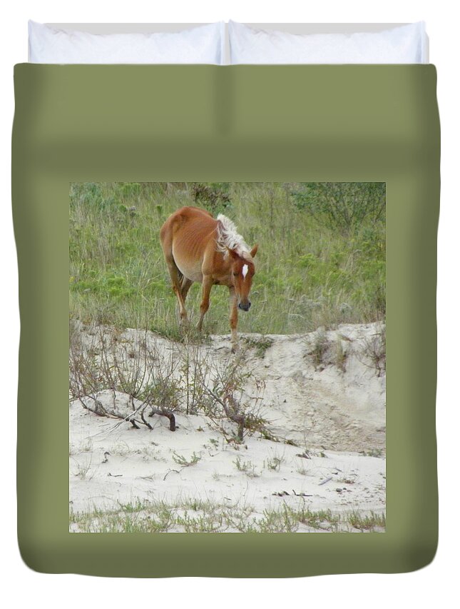 Mustang Duvet Cover featuring the photograph Wild Spanish Mustang of the Outer Banks of North Carolina by Kim Galluzzo